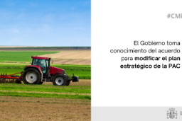 Hoy, en Consejo de Ministros