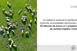 Hoy, en Consejo de Ministros