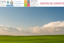 Publicado hoy en el BOE