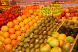 EL MINISTERIO DE AGRICULTURA, PESCA Y ALIMENTACIÓN HA RECOPILADO LOS PRIMEROS RESULTADOS DE PRODUCCIÓN Y DE CONTROLES OFICIALES 
