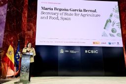 Hoy, en la jornada del COI para celebrar el Día Mundial del Olivo