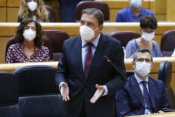 Hoy, en el Senado