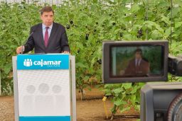 Hoy, en El Ejido   