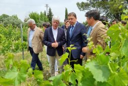 HOY, EN MONTILLA
