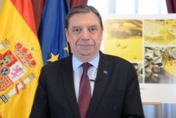 Publicada la primera estimación de la producción de aceite de oliva
