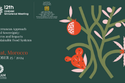 La reunión se celebra mañana, 25 de octubre, en Rabat (Marruecos)