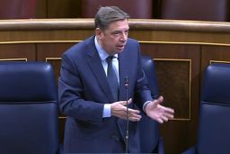 Hoy, en el Congreso de los Diputados 
