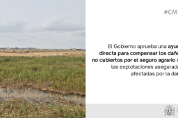 Hoy, en el Consejo de Ministros