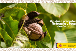 El Ministerio de Agricultura, Pesca y Alimentación publica la lista definitiva