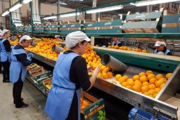 La entrega de premios tendrá lugar el 16 de octubre