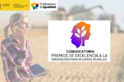 Mediante orden publicada en la página web del ministerio