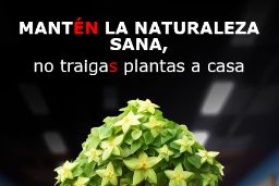 #PlantHealth4Life amplía su alcance y cuenta ya con la participación de 32 países