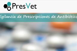 El informe de auditoría se remitió el 9 de junio