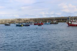 MEDIANTE RESOLUCIÓN DEL MINISTERIO DE AGRICULTURA, PESCA Y ALIMENTACIÓN, PUBLICADA HOY EN EL BOE 