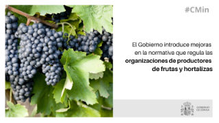 Mediante un real decreto aprobado hoy en Consejo de Ministros