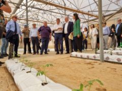 02.09.2024_L Planas_Chipre_hidroponicos1