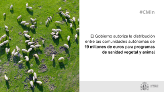 Hoy, en Consejo de Ministros