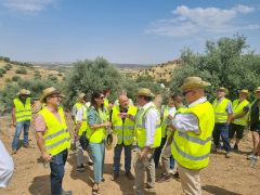 Las obras benefician a 214 hectáreas de leñosos de la provincia de Toledo