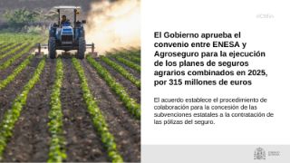 Hoy, en Consejo de Ministros
