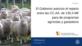 Hoy, en Consejo de Ministros  