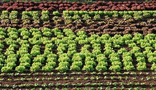 Publicado el informe Estadísticas de producción ecológica 2023