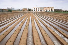 España fue el país pionero en Europa en obtener el reconocimiento SIPAM en 2017