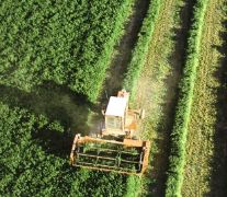 Cerrado el ejercicio financiero del FEAGA