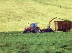 Publicado el número 36 de la serie Análisis y Prospectiva– AgrInfo 