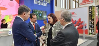 05.02.2025 SEAA Berlín 2