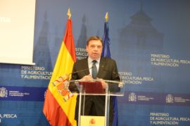 INFORME DE CONSUMO ALIMENTARIO 2019