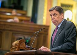 HOY, EN EL CONGRESO DE LOS DIPUTADOS 