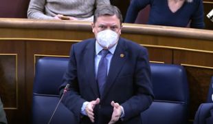 CONGRESO DE LOS DIPUTADOS  