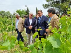 HOY, EN MONTILLA