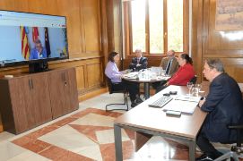Reunión por vídeoconferencia