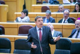 Hoy, en el Senado