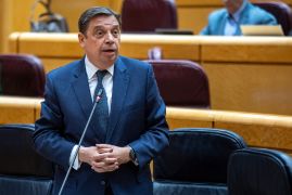 Hoy, en el pleno del Senado 