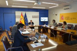 Hoy, en sesión celebrada por videoconferencia