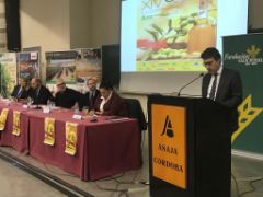 HOY, EN LA XIV JORNADA TÉCNICA DEL OLIVAR DE ASAJA-CÓRDOBA