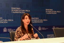 Hoy, en Madrid 
