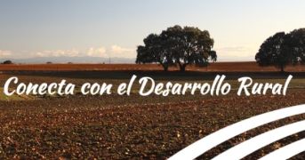 JORNADA VIRTUAL DE LA RED RURAL NACIONAL SOBRE LA VISIÓN A LARGO PLAZO PARA LAS ZONAS RURALES DE LA UE
