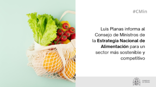 Hoy, en Consejo de Ministros  