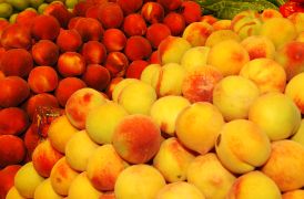 Hoy, en la mesa sectorial de fruta de verano