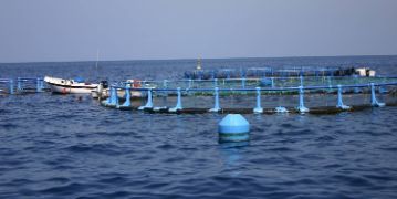 EN MÁLAGA, CON EL APOYO DEL MINISTERIO DE AGRICULTURA, PESCA Y ALIMENTACIÓN  