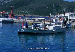 EN EL MARCO DEL PROTOCOLO GENERAL DE ACTUACIÓN PARA EL IMPULSO DEL CRECIMIENTO AZUL EN EL MEDITERRÁNEO 