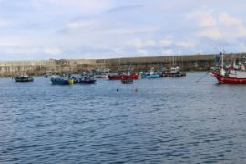 MEDIANTE RESOLUCIÓN DEL MINISTERIO DE AGRICULTURA, PESCA Y ALIMENTACIÓN, PUBLICADA HOY EN EL BOE 