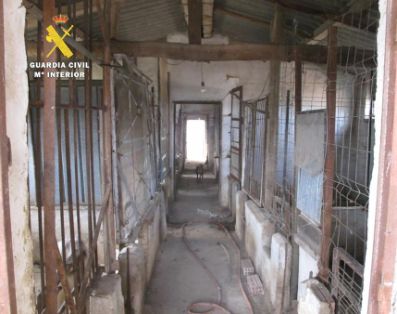 Descubierta una instalación clandestina de guarda y cría de perros 01.<br/>