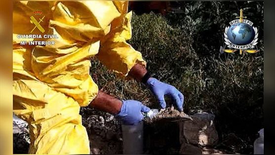 En el marco de la Operación Tyson, coordinada por Interpol, se han descubierto más de un millón y medio de toneladas de vertidos ilegales y nuevas rutas internacionales de tráfico de residuos. La Jefatura del Servicio de Protección de la Naturaleza ha sido el punto de contacto y coordinación nacional con las autoridades de INTERPOL en la operación.