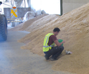 El SEPRONA investiga a 8 personas por uso fraudulento de semillas de cereal, dentro de la Operación MONSASA contra la venta ilegal de semillas protegidas.
