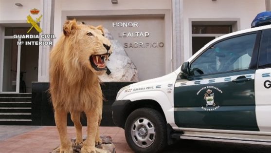 Operación Thunderbird llevada a cabo por el SEPRONA de la Guardia Civil, coordinada por INTERPOL, durante los días 17 al 30 de febrero del año en curso, para combatir los delitos contra la flora, la fauna y los recursos forestales