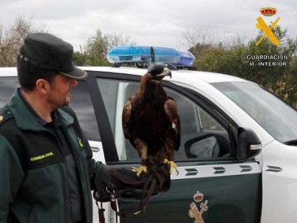 Operación Thunderbird llevada a cabo por el SEPRONA de la Guardia Civil, coordinada por INTERPOL, durante los días 17 al 30 de febrero del año en curso, para combatir los delitos contra la flora, la fauna y los recursos forestales